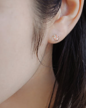 
                  
                    ピアス プティ K10
                  
                